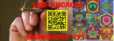 крисы Гусев