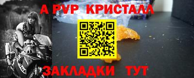крисы Гусев