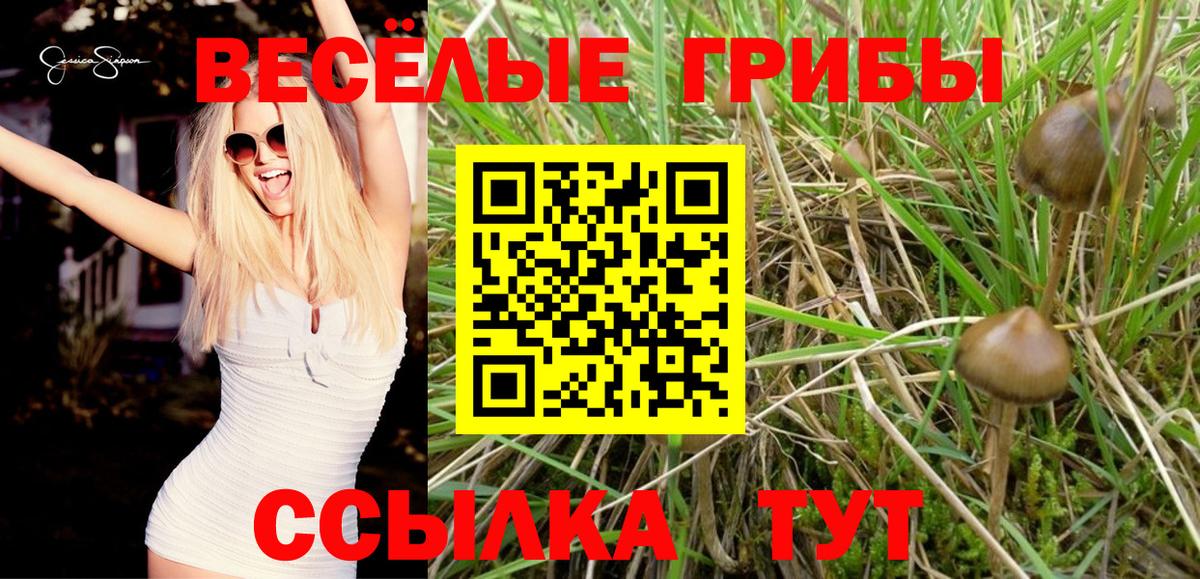 Буйнакск  Псилоцибиновые грибы Magic Shrooms  Вход с VPN 